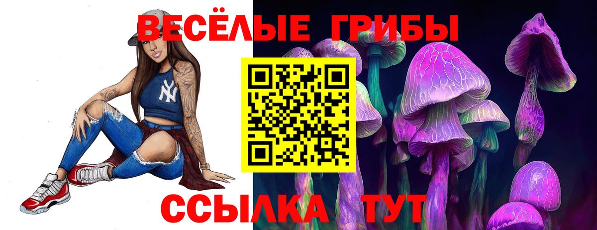 Псилоцибиновые грибы прущие грибы  Вход с VPN  Домодедово 